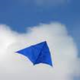 Blue kite