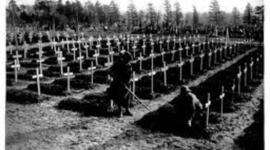 Timeline: WWI: USA's Shift from Neutrality to War