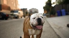 Timeline: SKATEBOARDING