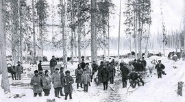 Timeline: История механизации лесозаготовок