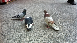 Timeline: Popular Disney Movies