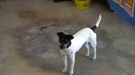 Timeline: Ryan VS's Timeline