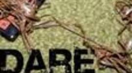 Timeline: reading term 2