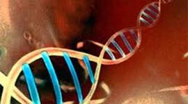 Timeline: CRONOLOGIA DEL GENOMA