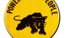 Timeline: Black panther party