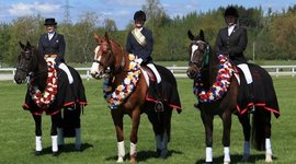 Timeline: AutoBiography