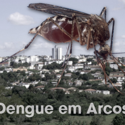 Timeline: Surto de dengue em Arcos em 2009/10