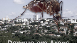 Timeline: Surto de dengue em Arcos em 2009/10