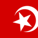 800px nation of islam flag.svg