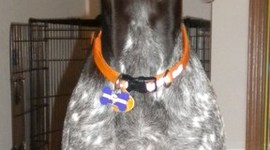 Timeline: The Great and Wonderful Teka