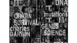 Timeline: Researchers That Contributed to the Theory of Evolution