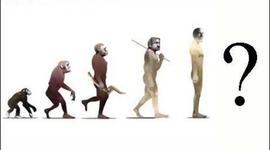 Timeline: Evolving Mystery