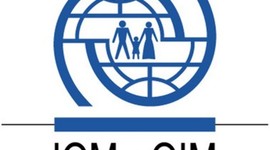 Timeline: Archiving at IOM