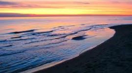 Timeline: Abigail Erwin