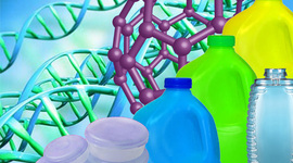 Timeline: Materiales