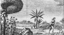 Timeline: Epoca Grecolatina