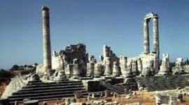 Timeline: Grecolatima