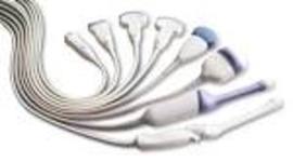 Timeline: The History of Ultrasound