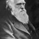Darwin charles