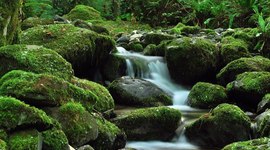 Timeline: DESCRIBE FIVE PEOPLE