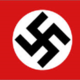 Nazi project
