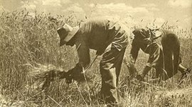 Timeline: Η ιστορικη αναδρομη τον παραγωγων