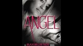 Timeline: DZ- Angel by James Patterson 291 pages