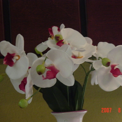 Timeline: Becky's life