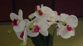 Timeline: Becky's life