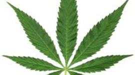 Timeline: Caso Jacobs