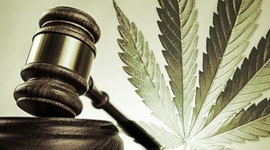 Timeline: Marijuana Law and Regulation 1901-Present