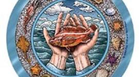 Timeline: Fishery Regulations