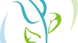 Timeline: MI NUEVA VIDA