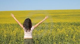 Timeline: Biografía Kimberly Canil