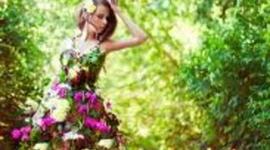 Timeline: COLOCHITA 8A