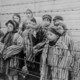 Childsurvivorsofauschwitz