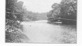 Timeline: Immigration Schemes to Trinidad