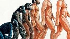 Timeline: Evolución del género Homo