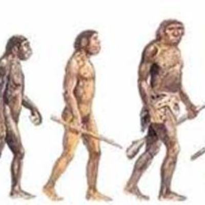 Timeline: El origen de la especie humana