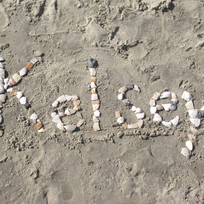 Timeline: Senior Project Timeline