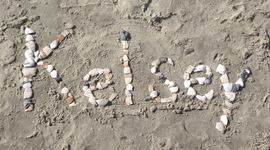 Timeline: Senior Project Timeline