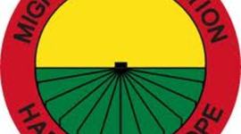 Timeline: History of the MEP