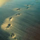 Footsteps
