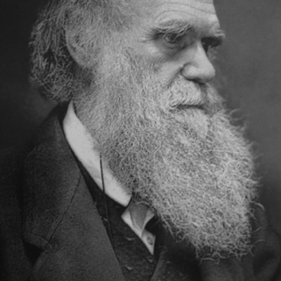 Timeline: Darwins timeline