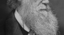 Timeline: Darwins timeline