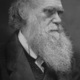 Charles darwin portrait