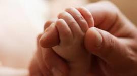 Timeline: From Birth to Death: A Journey Through Time