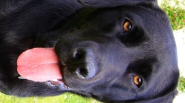 Timeline: My awesome timeline