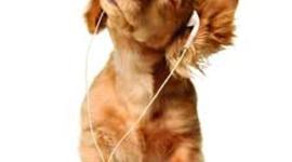 Timeline: what i did on spring break