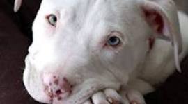 Timeline: what i did last week